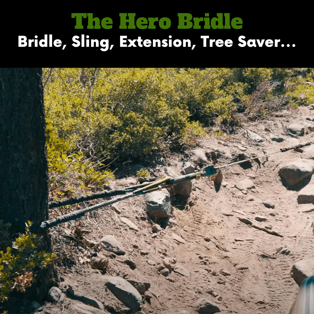 Hero Bridle - SandyCats