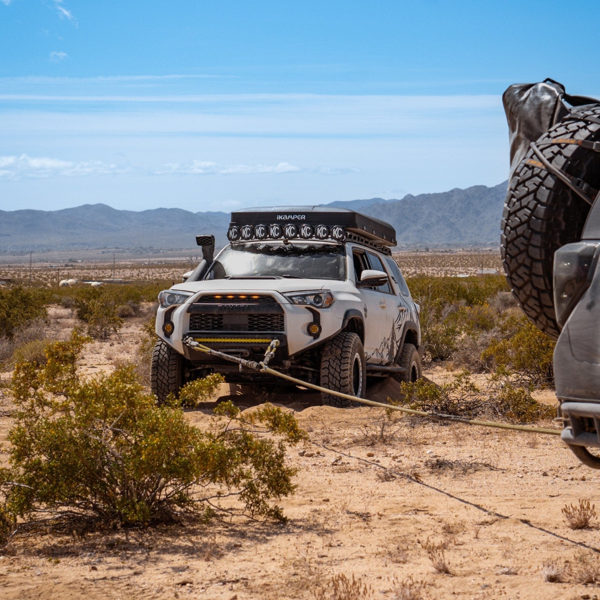 Hero Bridle - SandyCats