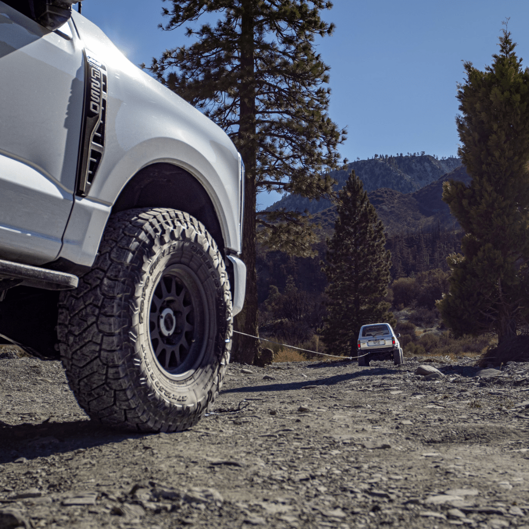 50' Recovery Winch Line Extension - SandyCats